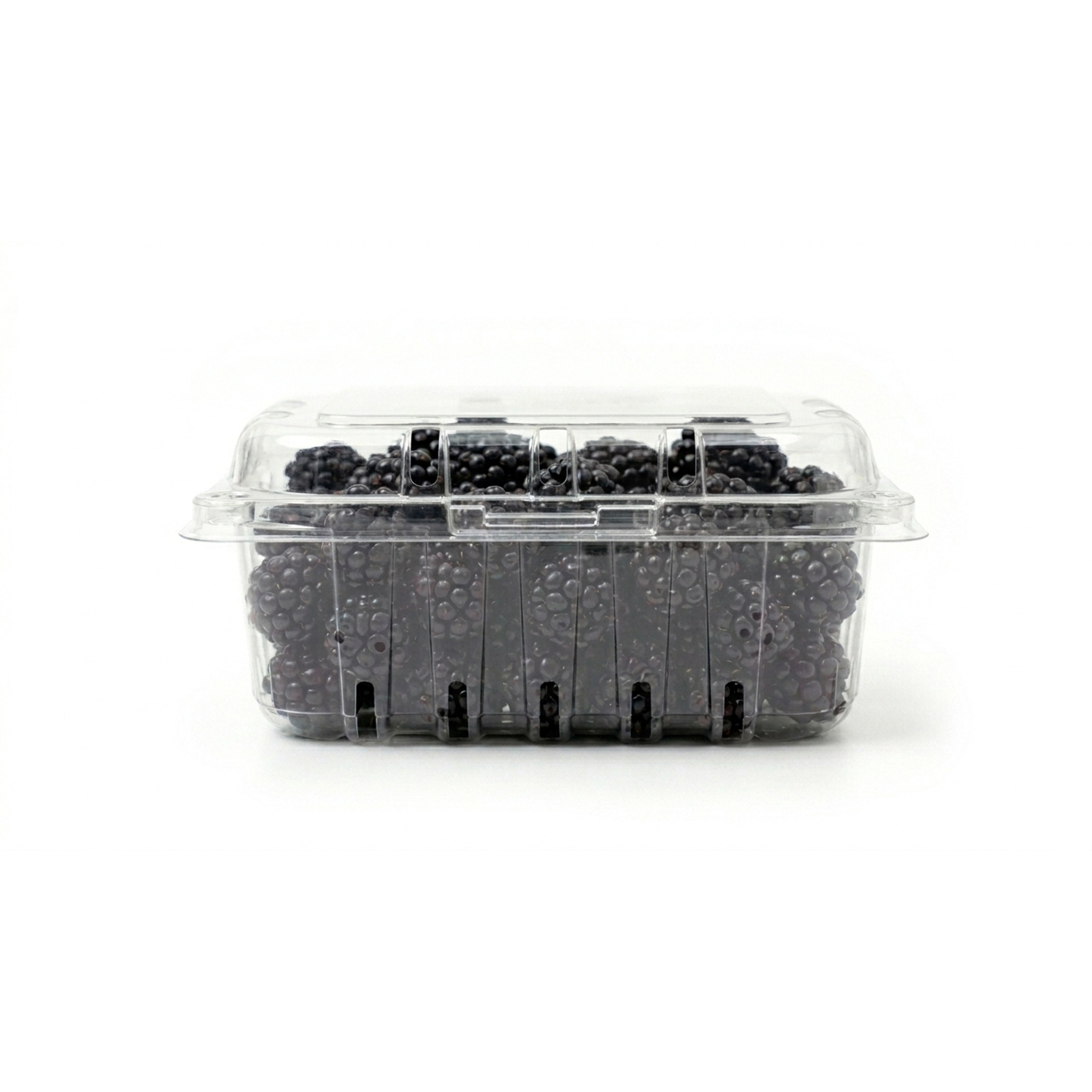 Blackberries
