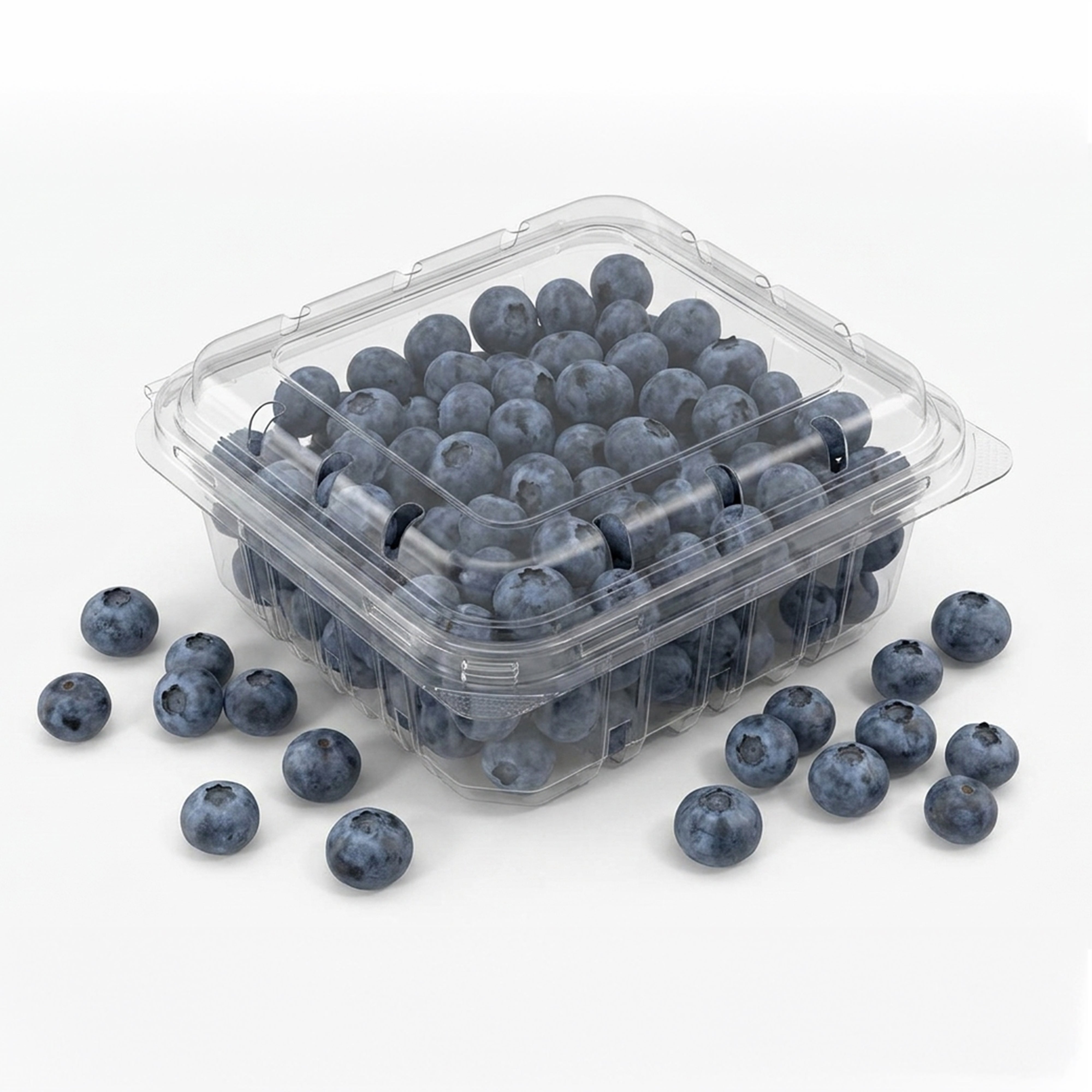 Blueberries