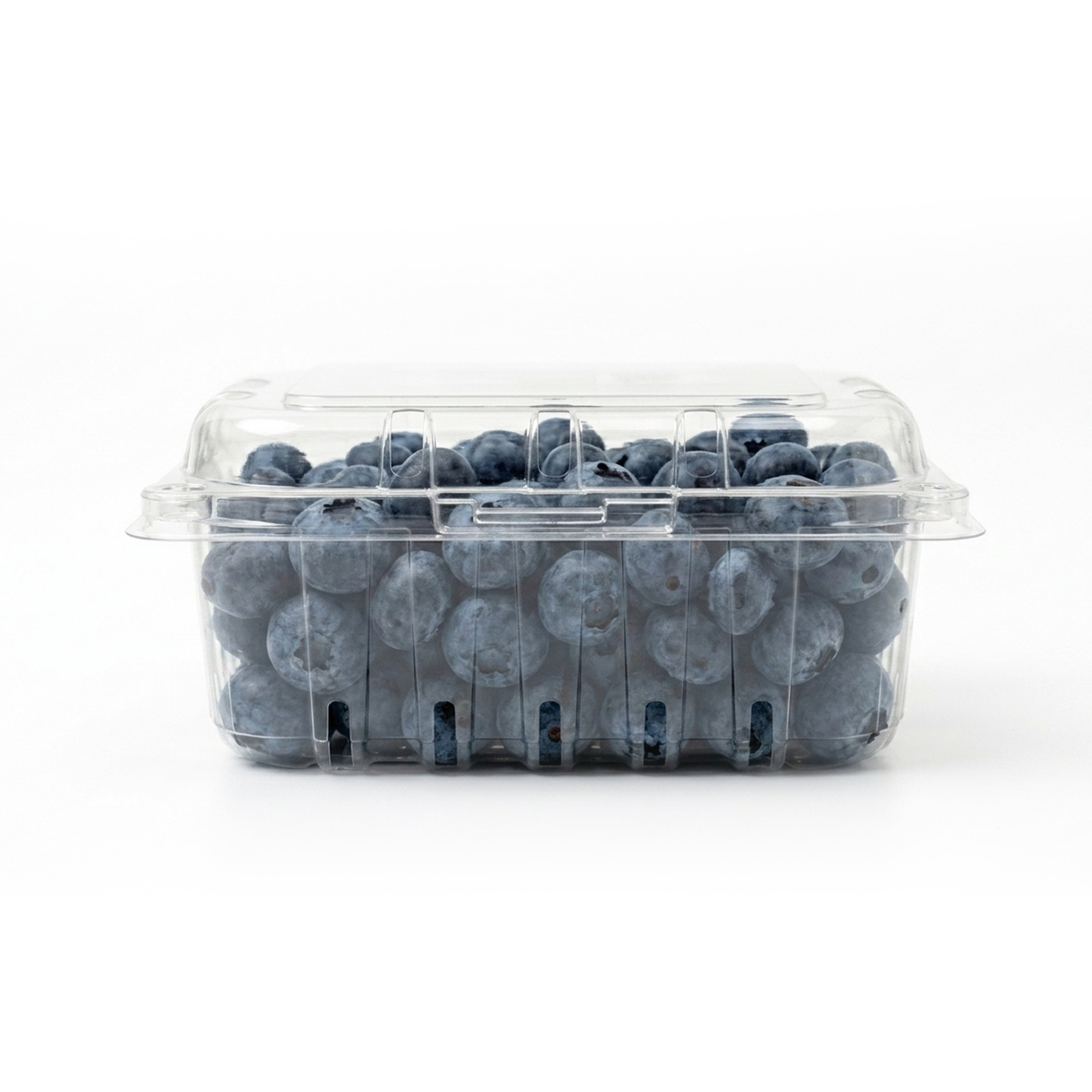 Blueberries