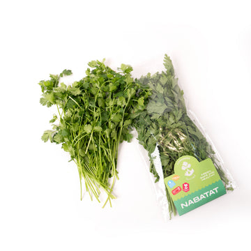 Coriander