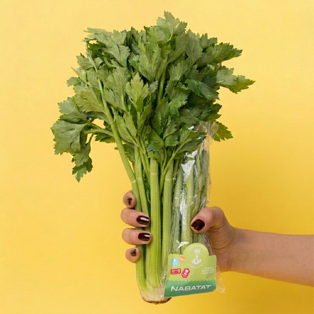 French Celery