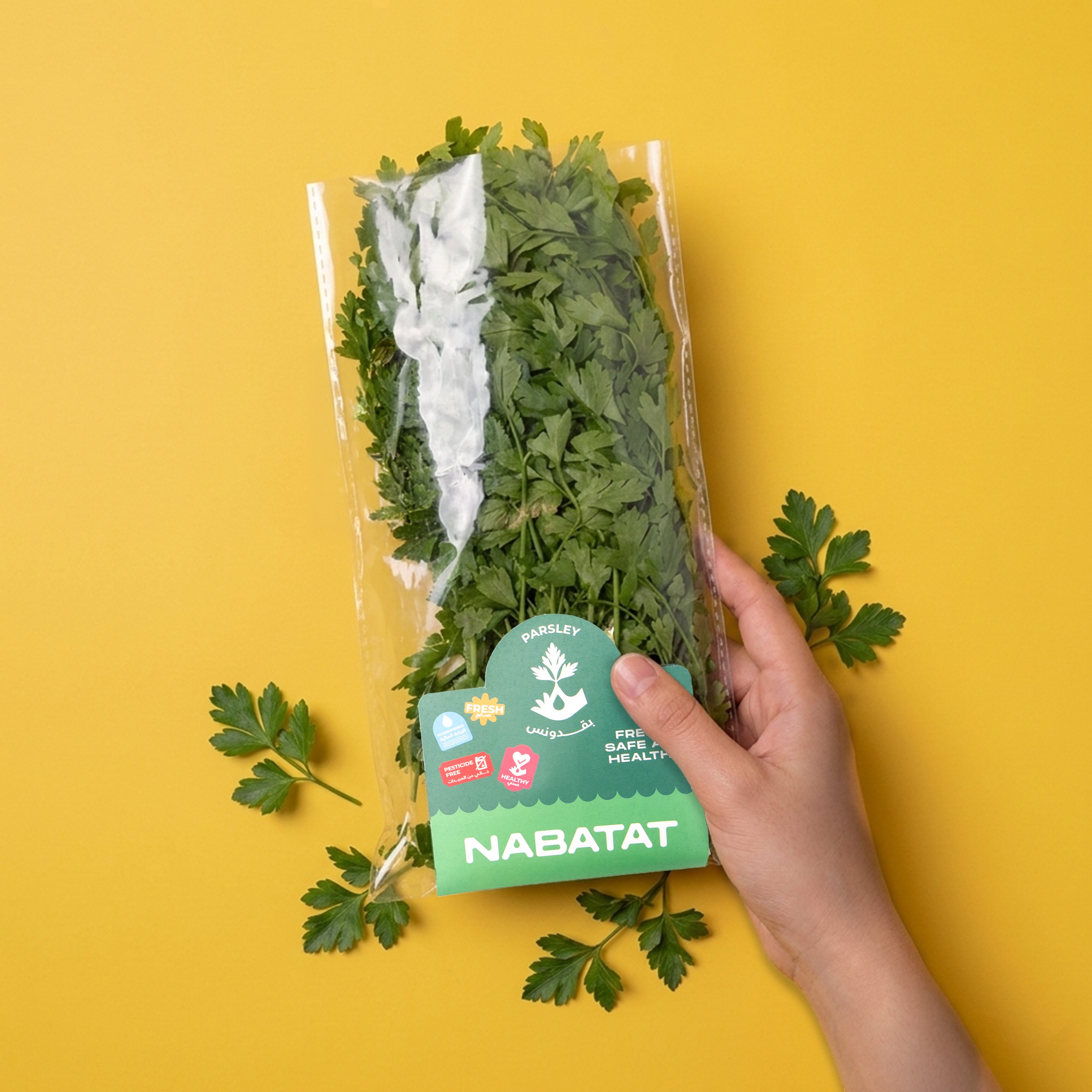 Parsley